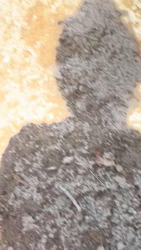 dogging doggystyle standing doggy gif