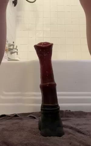Anal Bad Dragon Gay Hands Free gif