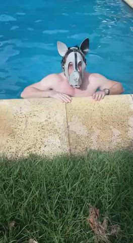 bdsm kinky petplay puppy gif