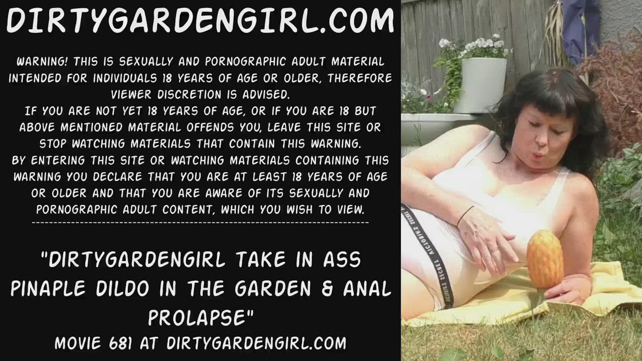 Anal Dildo Pornstar gif