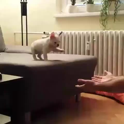 Trust fall