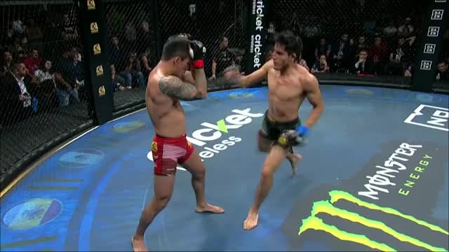 Luis Ceron vs. Jose Alberto Martinez