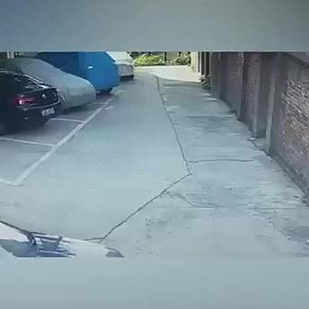 PROFISSIONAL EM ESTACIONAR