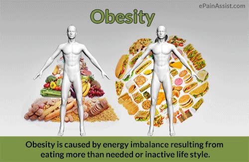 Obesity and Junk Food Animation 
