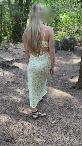 Let’s go on a fun forest adventure