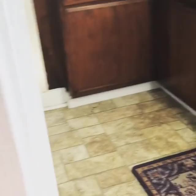 I’m being creepy and patiently waiting by the fridge door for my morning nummies