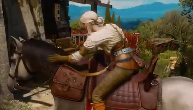 Celebrating the 10th anniversary of The Witcher