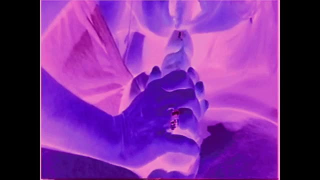 SUCKING MY COCK IN LIGHT PURPLE INVERT