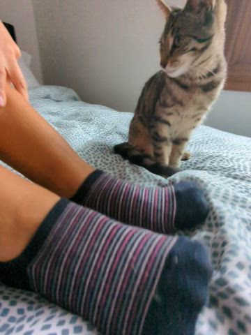 don't forget to stretch those toes