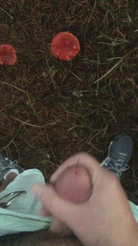 Mushroom hunting