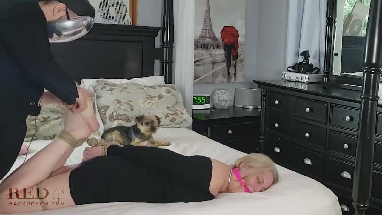 Ball Gagged Bondage Hogtied MILF Rope Play Tickling gif