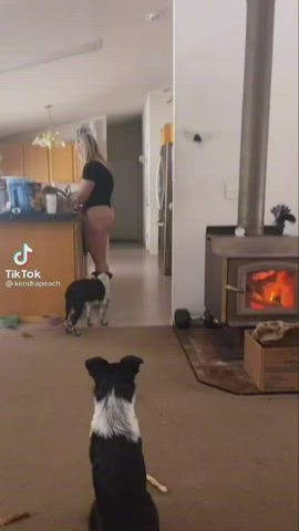 Softcore Thong TikTok Wife gif
