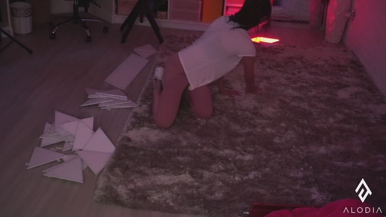 Aaliyah Love Abbie Cat Abbie Lee gif