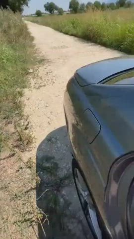 big ass blonde car sex doggystyle outdoor turkish white girl gif