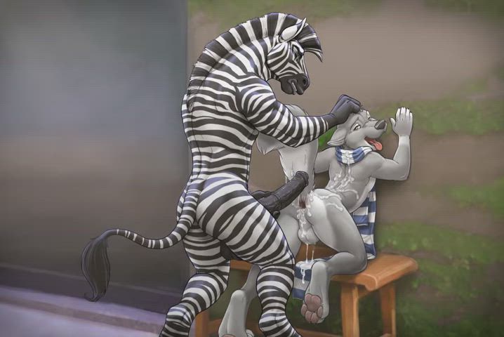 Big Zebra Fucks Small Femboy Wolf