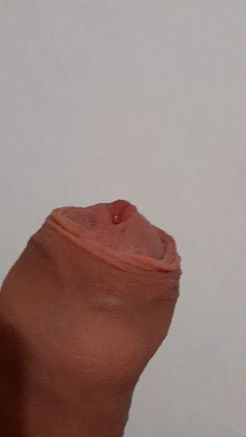 amateur foreskin penis gif