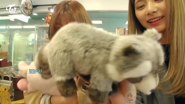 GIF 12