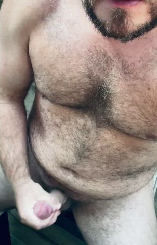 Bear GIF by stockyjock85