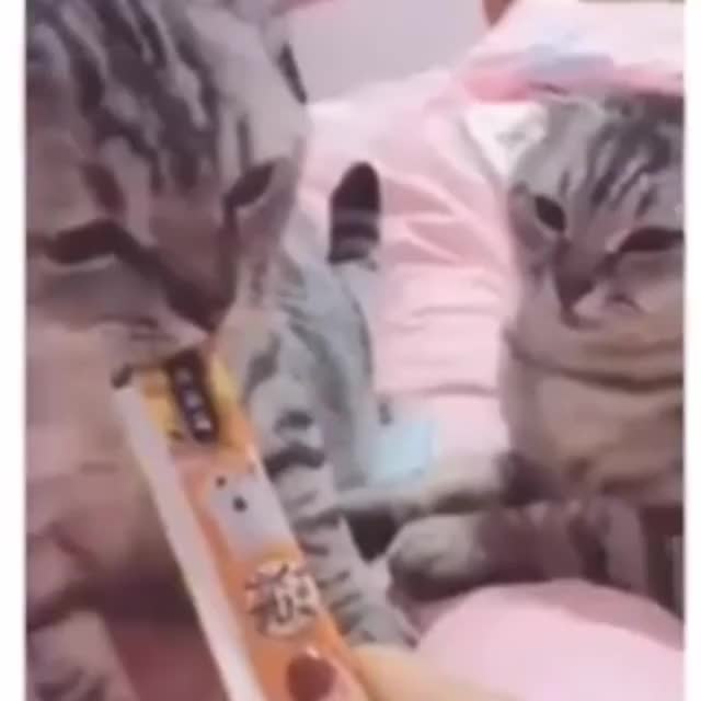 Mine! All mine!
