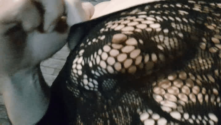 boobs fishnet nipples gif