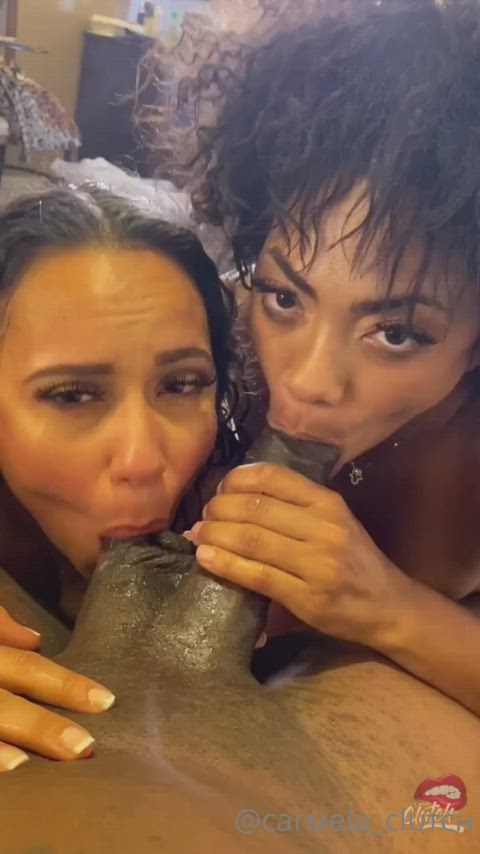 bbc babes blowjob carmela clutch ebony ffm latina gif