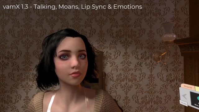 vamX 1.3 - Video 2