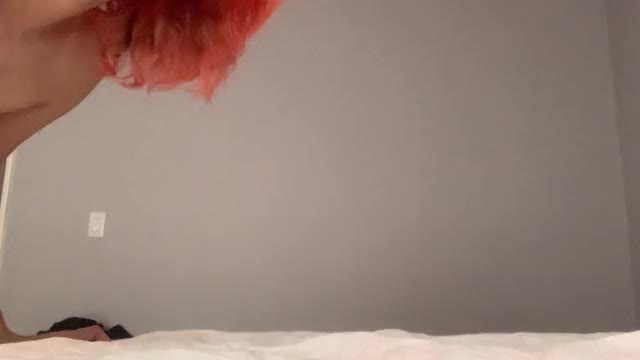 tease gone wrong thanks to my dog ?