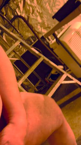 M(43) Solo show. Beautiful uncut dick