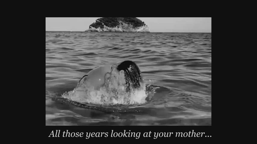 Making Your Mother Pregnant