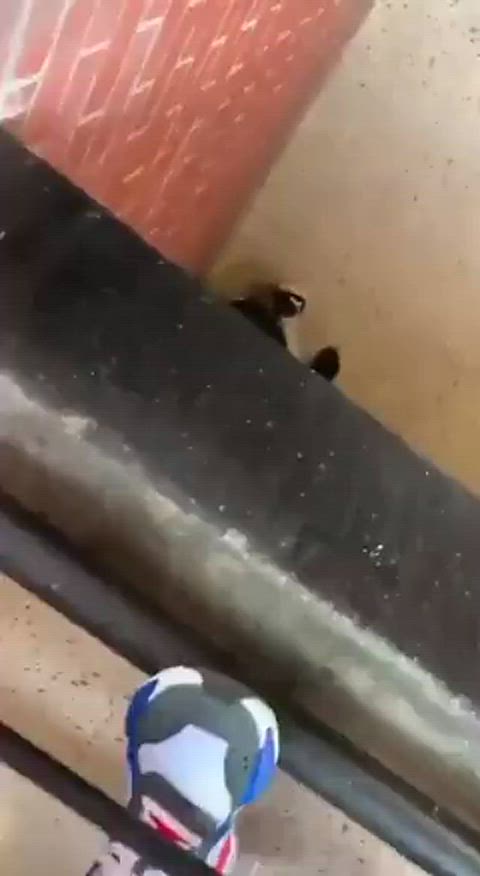 Trashy BJ
