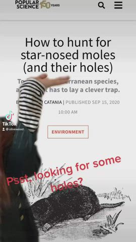 Clothed Glasses Redhead TikTok gif