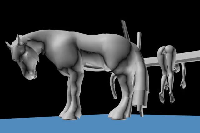 Baka Horse 7