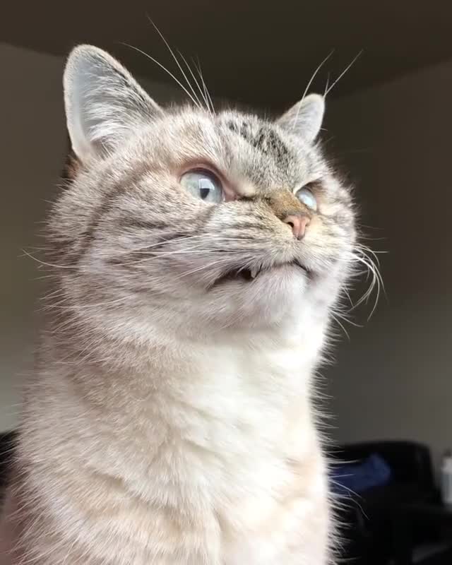 Anger... rising...