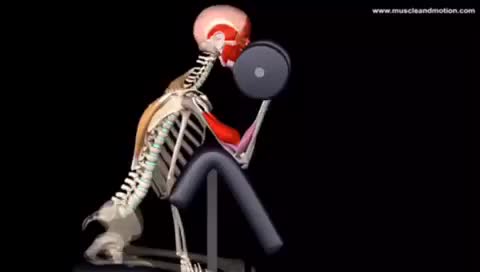 Unhealthy Exercise