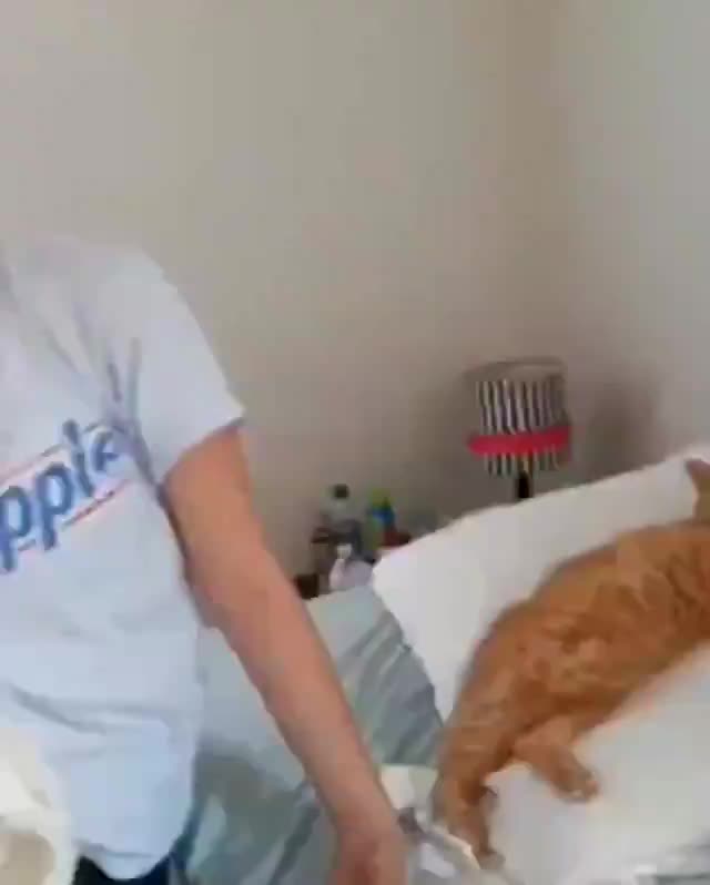 a loving hug