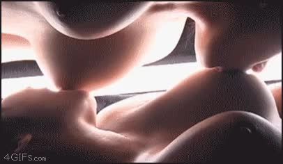 Tits gif