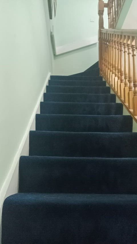 Going up stairs with my tail!