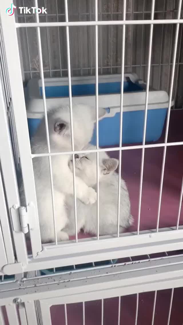 hug and kiss