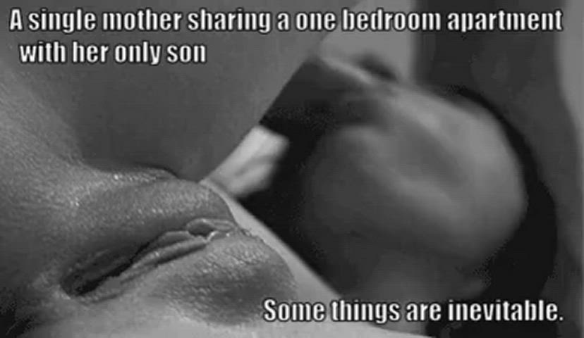 cock cock worship milf mom son sucking gif