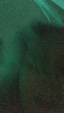 pornhub xvideos xhamster gif