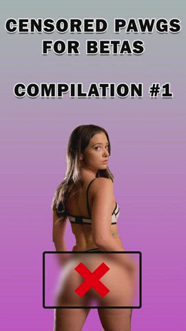 Censored Pawgs for Betas Compilation #1