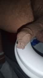 (m29) Hairy daddy playing with uncut cock and balls on the toilet.
