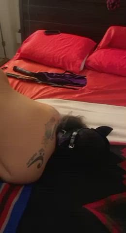 BDSM Flogging Spanking gif
