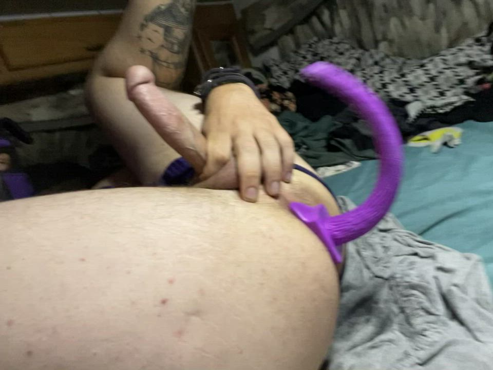 Wagging my new large purple tail plug because I’m a happy pup