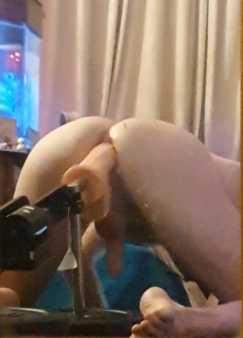 [25] Definition of a boypussy
