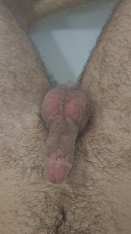 cock cut cock homemade solo gif