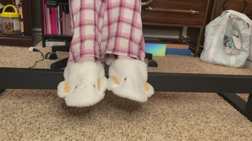 Getting a little reward under the desk!