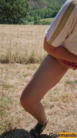 [OC] I love pissing outdoors to make you enjoy the beauti(f)ul landscapes of France