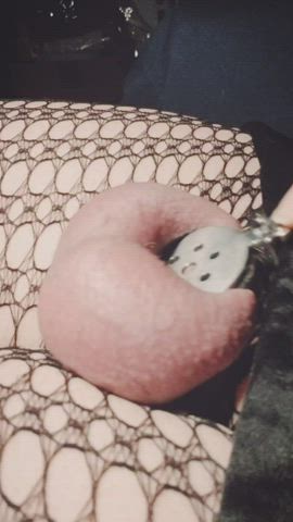 big balls chastity crossdressing extra small fishnet sissy gif