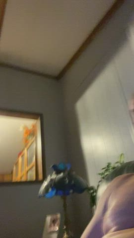 Cum Jerk Off Panties gif